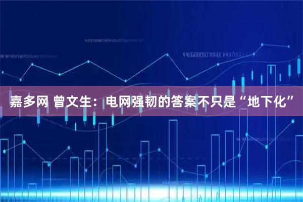 嘉多网 曾文生：电网强韧的答案不只是“地下化”