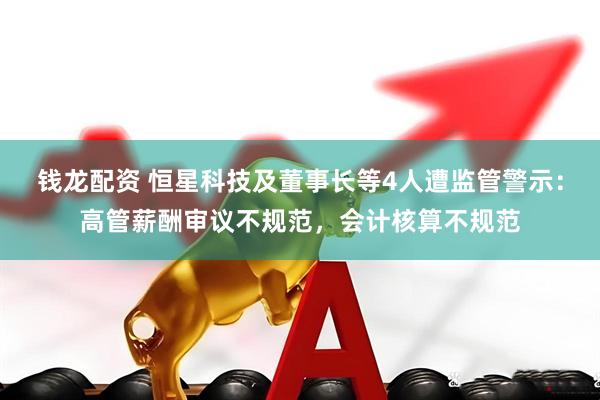 钱龙配资 恒星科技及董事长等4人遭监管警示：高管薪酬审议不规范，会计核算不规范