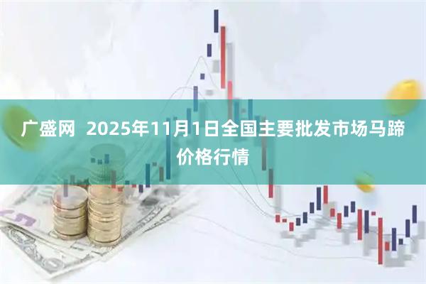 广盛网  2025年11月1日全国主要批发市场马蹄价格行情