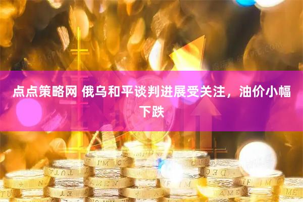 点点策略网 俄乌和平谈判进展受关注，油价小幅下跌