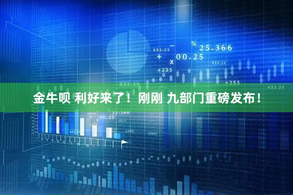 金牛呗 利好来了！刚刚 九部门重磅发布！