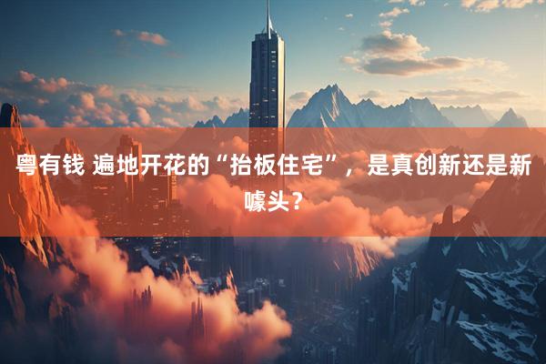 粤有钱 遍地开花的“抬板住宅”，是真创新还是新噱头？